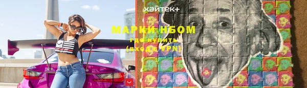 твердый Арсеньев