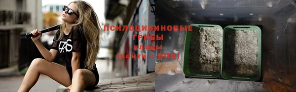 твердый Арсеньев