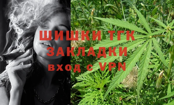 твердый Арсеньев