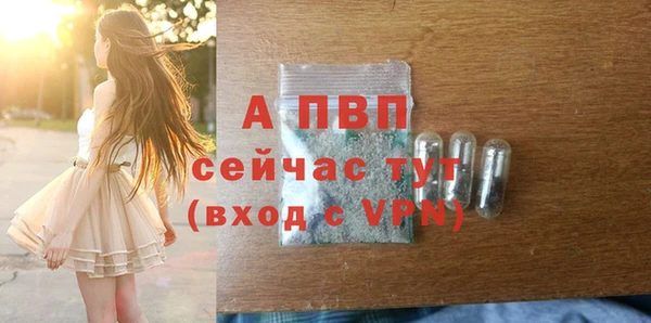 твердый Арсеньев