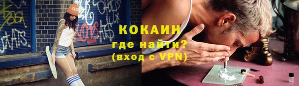 твердый Арсеньев