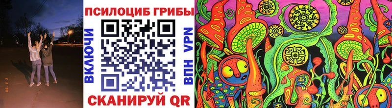 Псилоцибиновые грибы Cubensis  наркошоп  Новотроицк 